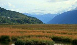 吃瓜娱乐万象,揭秘娱乐圈幕后故事与热点事件